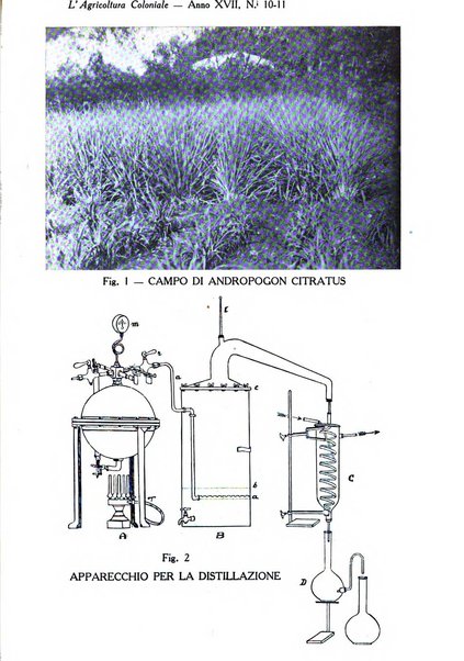 L'agricoltura coloniale organo dell'Istituto agricolo coloniale italiano e dell'Ufficio agrario sperimentale dell'Eritrea