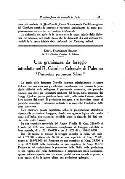 L'agricoltura coloniale organo dell'Istituto agricolo coloniale italiano e dell'Ufficio agrario sperimentale dell'Eritrea