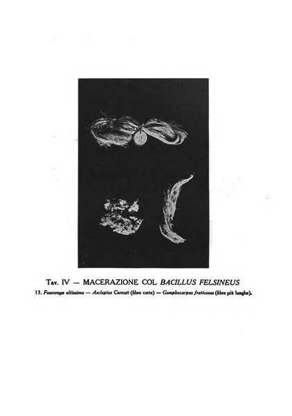 L'agricoltura coloniale organo dell'Istituto agricolo coloniale italiano e dell'Ufficio agrario sperimentale dell'Eritrea