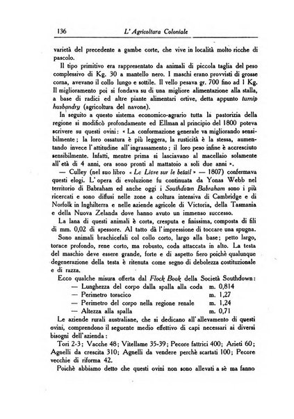 L'agricoltura coloniale organo dell'Istituto agricolo coloniale italiano e dell'Ufficio agrario sperimentale dell'Eritrea