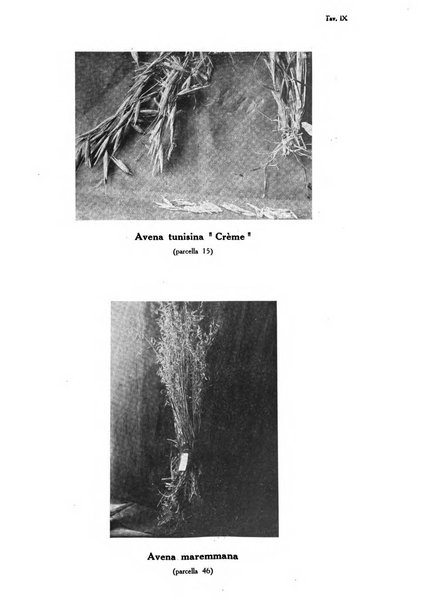 L'agricoltura coloniale organo dell'Istituto agricolo coloniale italiano e dell'Ufficio agrario sperimentale dell'Eritrea