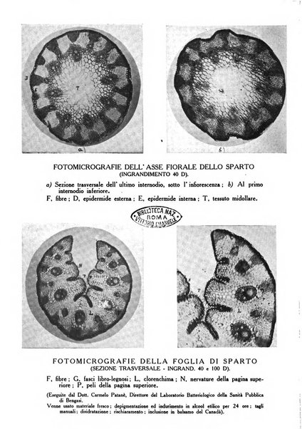 L'agricoltura coloniale organo dell'Istituto agricolo coloniale italiano e dell'Ufficio agrario sperimentale dell'Eritrea