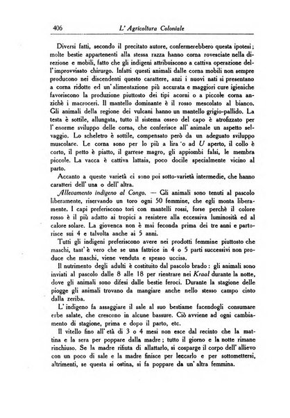 L'agricoltura coloniale organo dell'Istituto agricolo coloniale italiano e dell'Ufficio agrario sperimentale dell'Eritrea