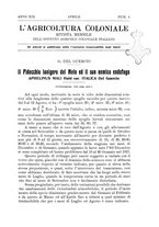 giornale/TO00199161/1925/unico/00000151