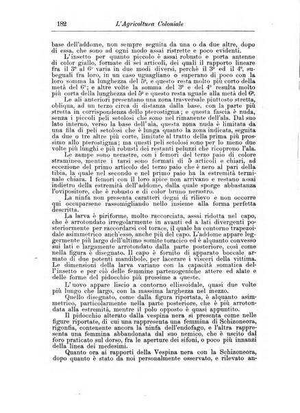 L'agricoltura coloniale organo dell'Istituto agricolo coloniale italiano e dell'Ufficio agrario sperimentale dell'Eritrea