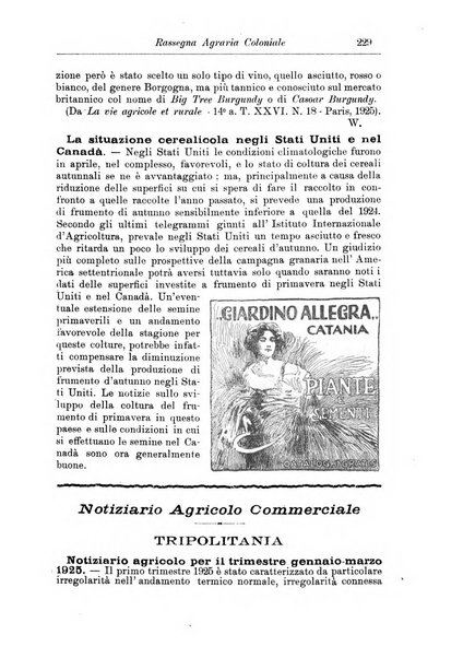 L'agricoltura coloniale organo dell'Istituto agricolo coloniale italiano e dell'Ufficio agrario sperimentale dell'Eritrea