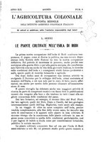 giornale/TO00199161/1925/unico/00000333