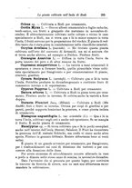 giornale/TO00199161/1925/unico/00000337