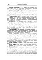 giornale/TO00199161/1925/unico/00000342