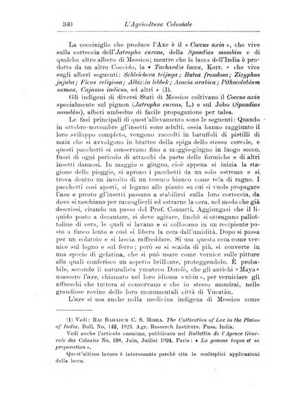 L'agricoltura coloniale organo dell'Istituto agricolo coloniale italiano e dell'Ufficio agrario sperimentale dell'Eritrea