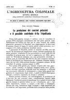 giornale/TO00199161/1925/unico/00000429