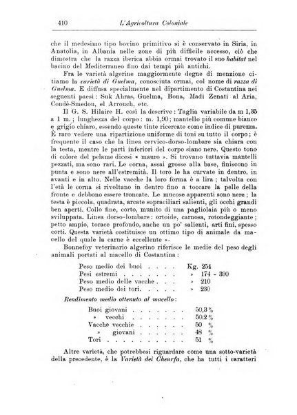 L'agricoltura coloniale organo dell'Istituto agricolo coloniale italiano e dell'Ufficio agrario sperimentale dell'Eritrea