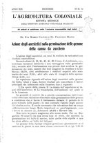 giornale/TO00199161/1925/unico/00000521