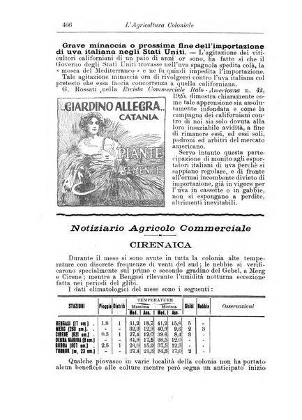 L'agricoltura coloniale organo dell'Istituto agricolo coloniale italiano e dell'Ufficio agrario sperimentale dell'Eritrea