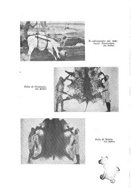 L'agricoltura coloniale organo dell'Istituto agricolo coloniale italiano e dell'Ufficio agrario sperimentale dell'Eritrea