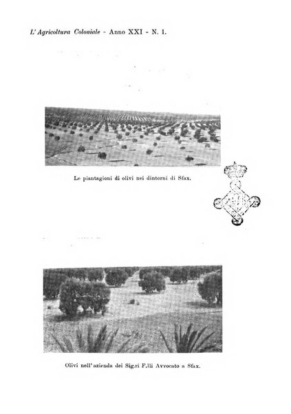 L'agricoltura coloniale organo dell'Istituto agricolo coloniale italiano e dell'Ufficio agrario sperimentale dell'Eritrea