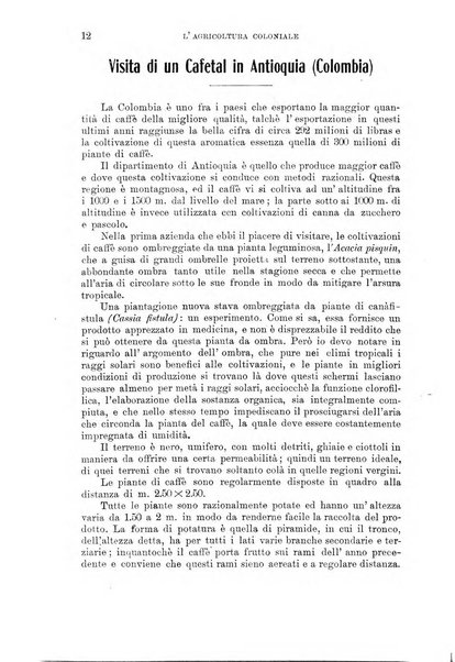 L'agricoltura coloniale organo dell'Istituto agricolo coloniale italiano e dell'Ufficio agrario sperimentale dell'Eritrea