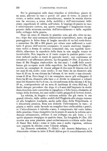 L'agricoltura coloniale organo dell'Istituto agricolo coloniale italiano e dell'Ufficio agrario sperimentale dell'Eritrea