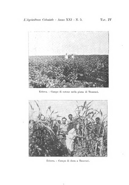 L'agricoltura coloniale organo dell'Istituto agricolo coloniale italiano e dell'Ufficio agrario sperimentale dell'Eritrea