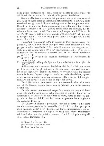 L'agricoltura coloniale organo dell'Istituto agricolo coloniale italiano e dell'Ufficio agrario sperimentale dell'Eritrea