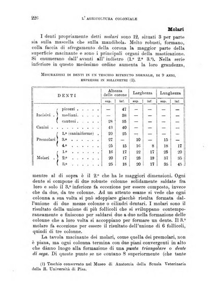 L'agricoltura coloniale organo dell'Istituto agricolo coloniale italiano e dell'Ufficio agrario sperimentale dell'Eritrea