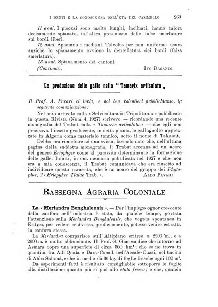 L'agricoltura coloniale organo dell'Istituto agricolo coloniale italiano e dell'Ufficio agrario sperimentale dell'Eritrea