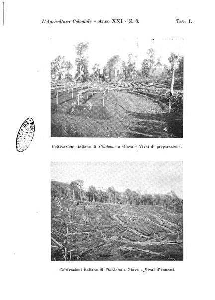 L'agricoltura coloniale organo dell'Istituto agricolo coloniale italiano e dell'Ufficio agrario sperimentale dell'Eritrea