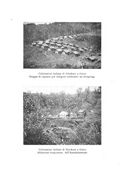 L'agricoltura coloniale organo dell'Istituto agricolo coloniale italiano e dell'Ufficio agrario sperimentale dell'Eritrea