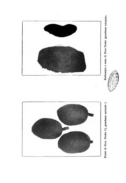 L'agricoltura coloniale organo dell'Istituto agricolo coloniale italiano e dell'Ufficio agrario sperimentale dell'Eritrea