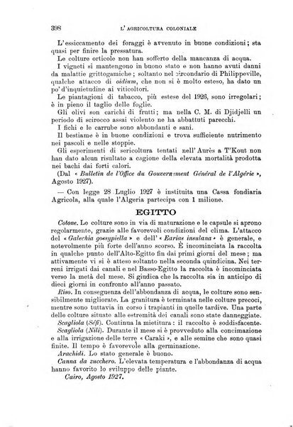 L'agricoltura coloniale organo dell'Istituto agricolo coloniale italiano e dell'Ufficio agrario sperimentale dell'Eritrea