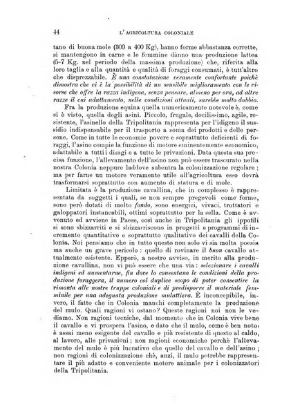 L'agricoltura coloniale organo dell'Istituto agricolo coloniale italiano e dell'Ufficio agrario sperimentale dell'Eritrea