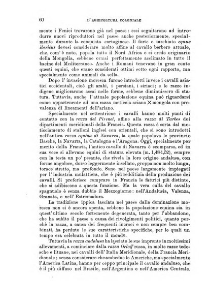 L'agricoltura coloniale organo dell'Istituto agricolo coloniale italiano e dell'Ufficio agrario sperimentale dell'Eritrea