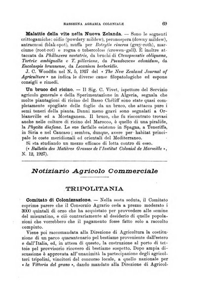 L'agricoltura coloniale organo dell'Istituto agricolo coloniale italiano e dell'Ufficio agrario sperimentale dell'Eritrea