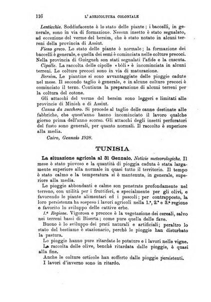 L'agricoltura coloniale organo dell'Istituto agricolo coloniale italiano e dell'Ufficio agrario sperimentale dell'Eritrea