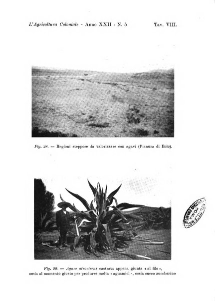 L'agricoltura coloniale organo dell'Istituto agricolo coloniale italiano e dell'Ufficio agrario sperimentale dell'Eritrea