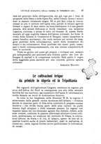 giornale/TO00199161/1929/unico/00000077