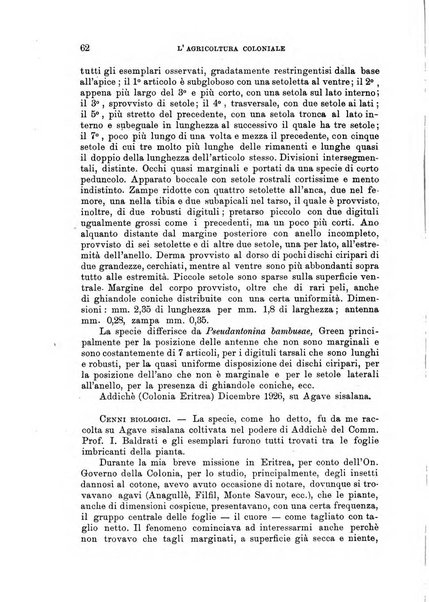 L'agricoltura coloniale organo dell'Istituto agricolo coloniale italiano e dell'Ufficio agrario sperimentale dell'Eritrea