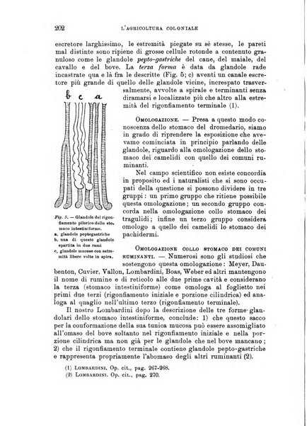 L'agricoltura coloniale organo dell'Istituto agricolo coloniale italiano e dell'Ufficio agrario sperimentale dell'Eritrea