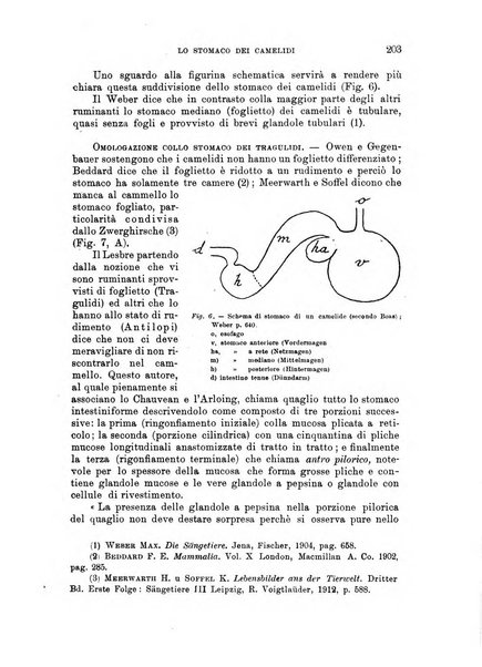 L'agricoltura coloniale organo dell'Istituto agricolo coloniale italiano e dell'Ufficio agrario sperimentale dell'Eritrea