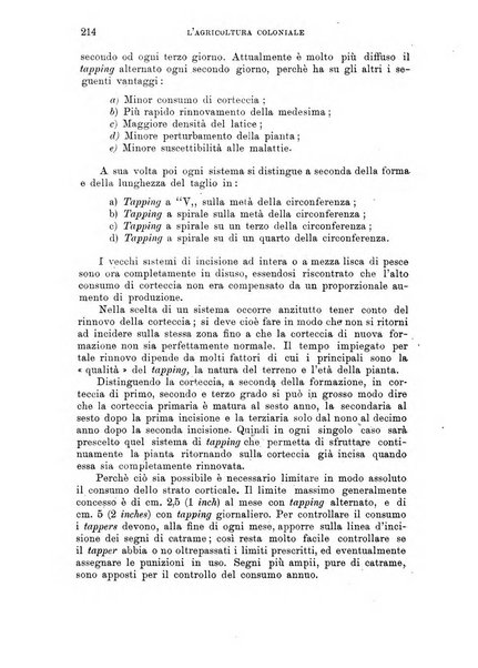 L'agricoltura coloniale organo dell'Istituto agricolo coloniale italiano e dell'Ufficio agrario sperimentale dell'Eritrea