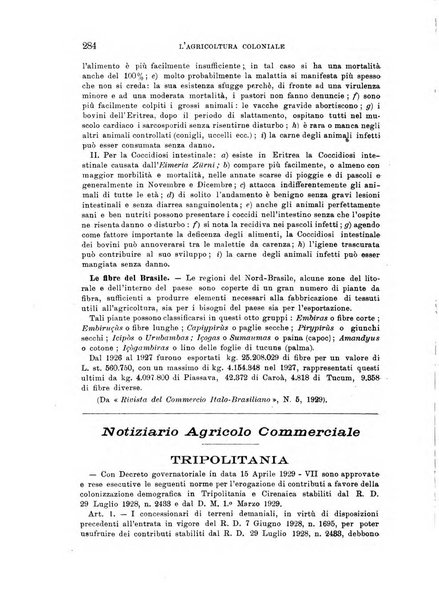 L'agricoltura coloniale organo dell'Istituto agricolo coloniale italiano e dell'Ufficio agrario sperimentale dell'Eritrea