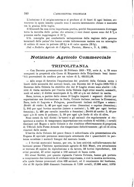 L'agricoltura coloniale organo dell'Istituto agricolo coloniale italiano e dell'Ufficio agrario sperimentale dell'Eritrea