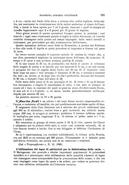 L'agricoltura coloniale organo dell'Istituto agricolo coloniale italiano e dell'Ufficio agrario sperimentale dell'Eritrea