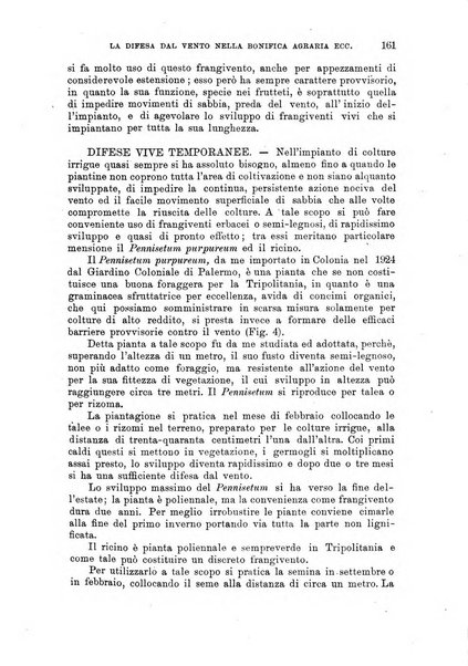 L'agricoltura coloniale organo dell'Istituto agricolo coloniale italiano e dell'Ufficio agrario sperimentale dell'Eritrea