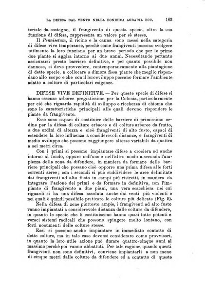 L'agricoltura coloniale organo dell'Istituto agricolo coloniale italiano e dell'Ufficio agrario sperimentale dell'Eritrea