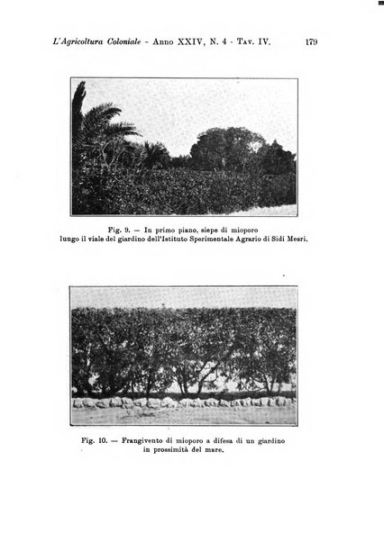 L'agricoltura coloniale organo dell'Istituto agricolo coloniale italiano e dell'Ufficio agrario sperimentale dell'Eritrea