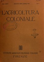 giornale/TO00199161/1930/unico/00000247