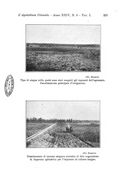 L'agricoltura coloniale organo dell'Istituto agricolo coloniale italiano e dell'Ufficio agrario sperimentale dell'Eritrea