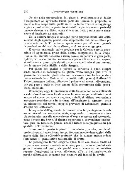 L'agricoltura coloniale organo dell'Istituto agricolo coloniale italiano e dell'Ufficio agrario sperimentale dell'Eritrea