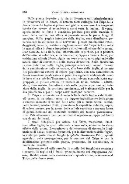 L'agricoltura coloniale organo dell'Istituto agricolo coloniale italiano e dell'Ufficio agrario sperimentale dell'Eritrea